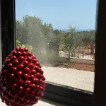 Сasa de vacaciones Tenute Cinquanta